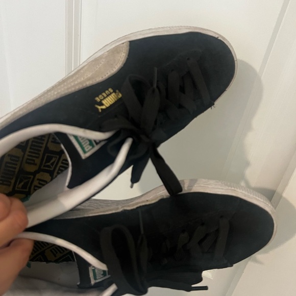 Pumas!! - Picture 2 of 2